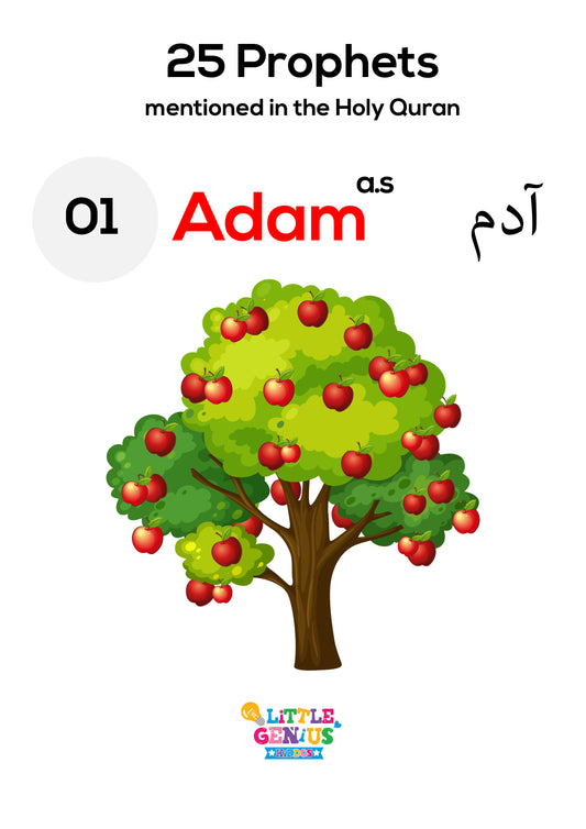 25 Prophets Mentioned in the Quran β Flashcards
