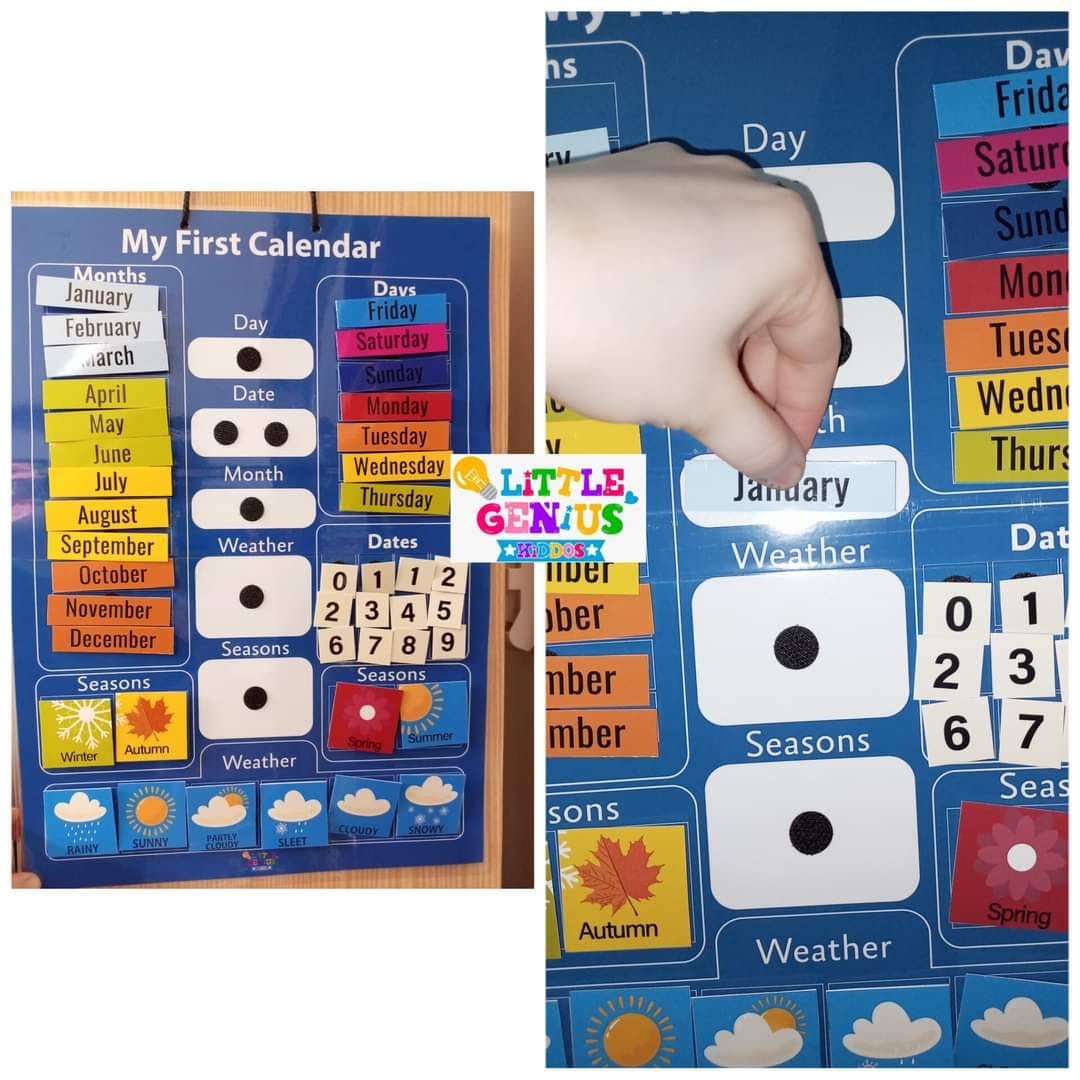 Calendar Activity Chart (Blue)