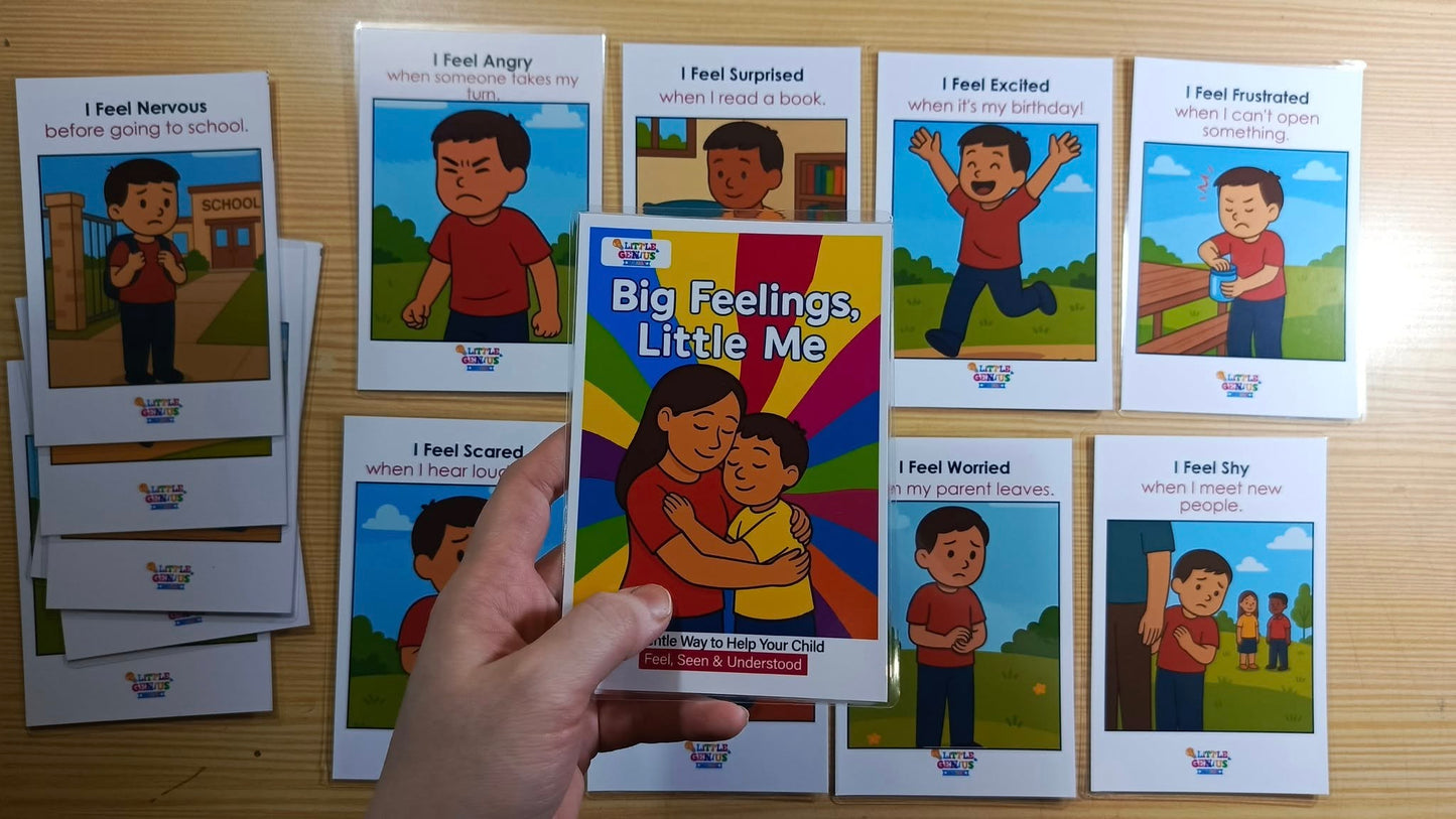 Big Feelings Little Me Emotional Awareness Flashcards