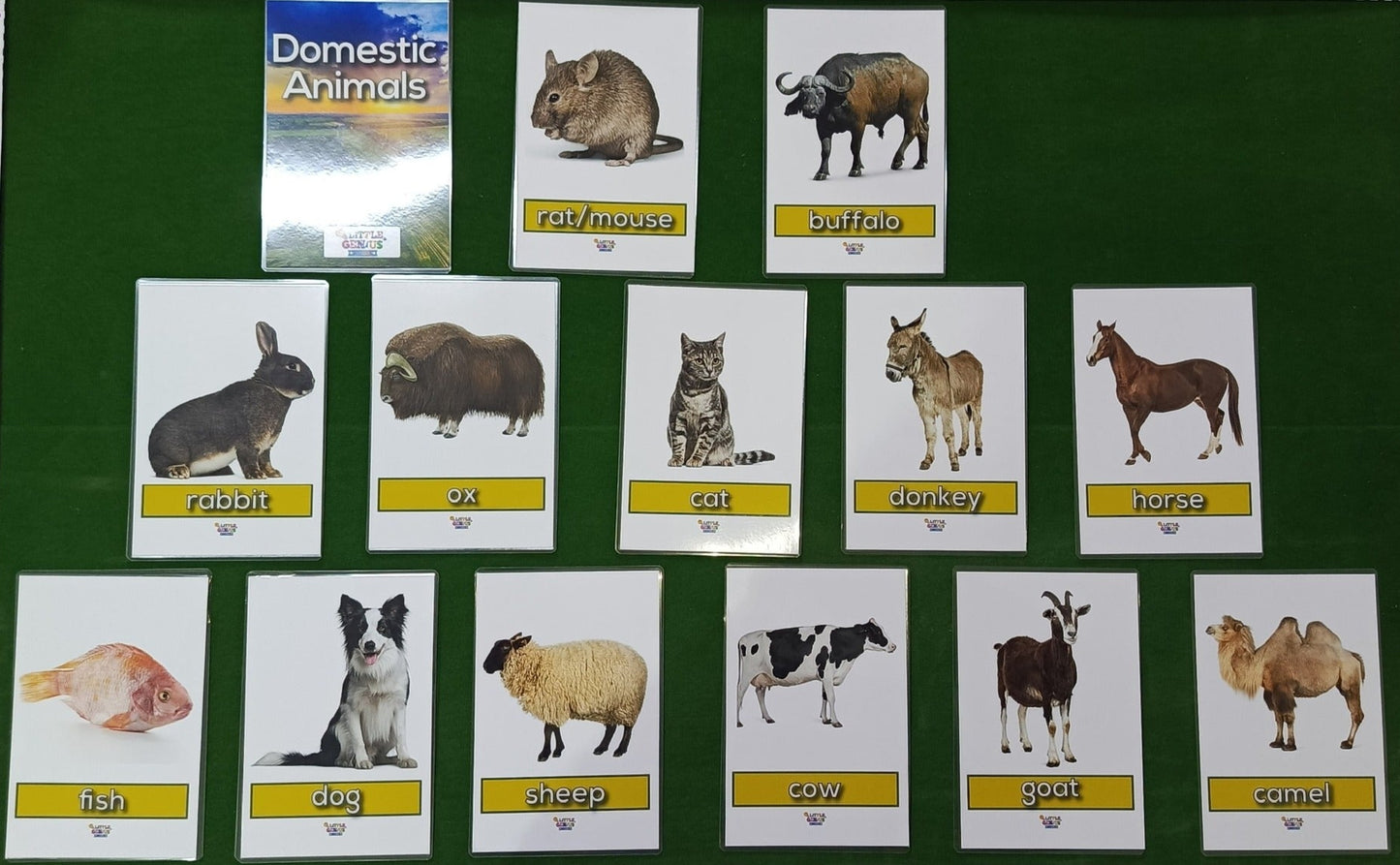 Domestic Animals Flashcards - Set of 13