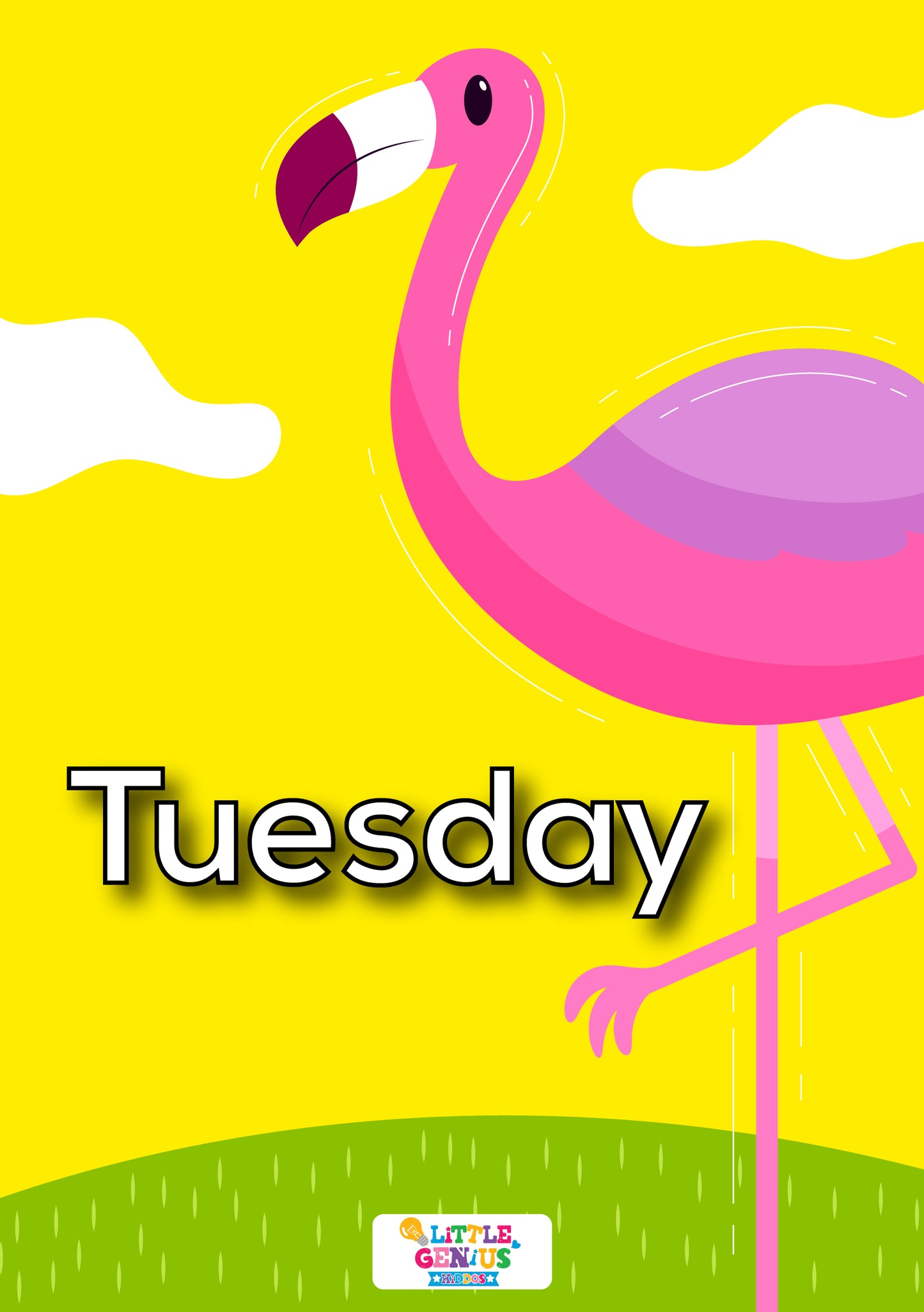 Days of the Week Flashcards