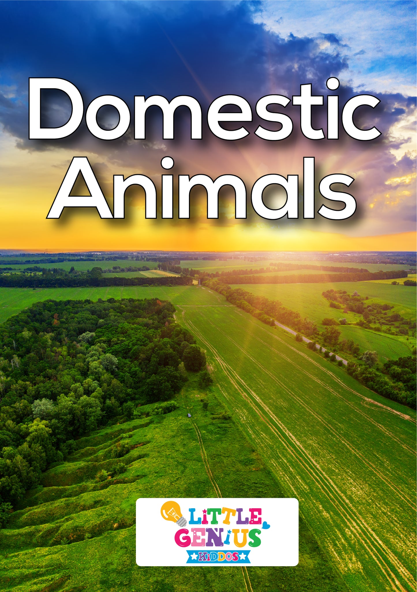 Domestic Animals Flashcards - Set of 13
