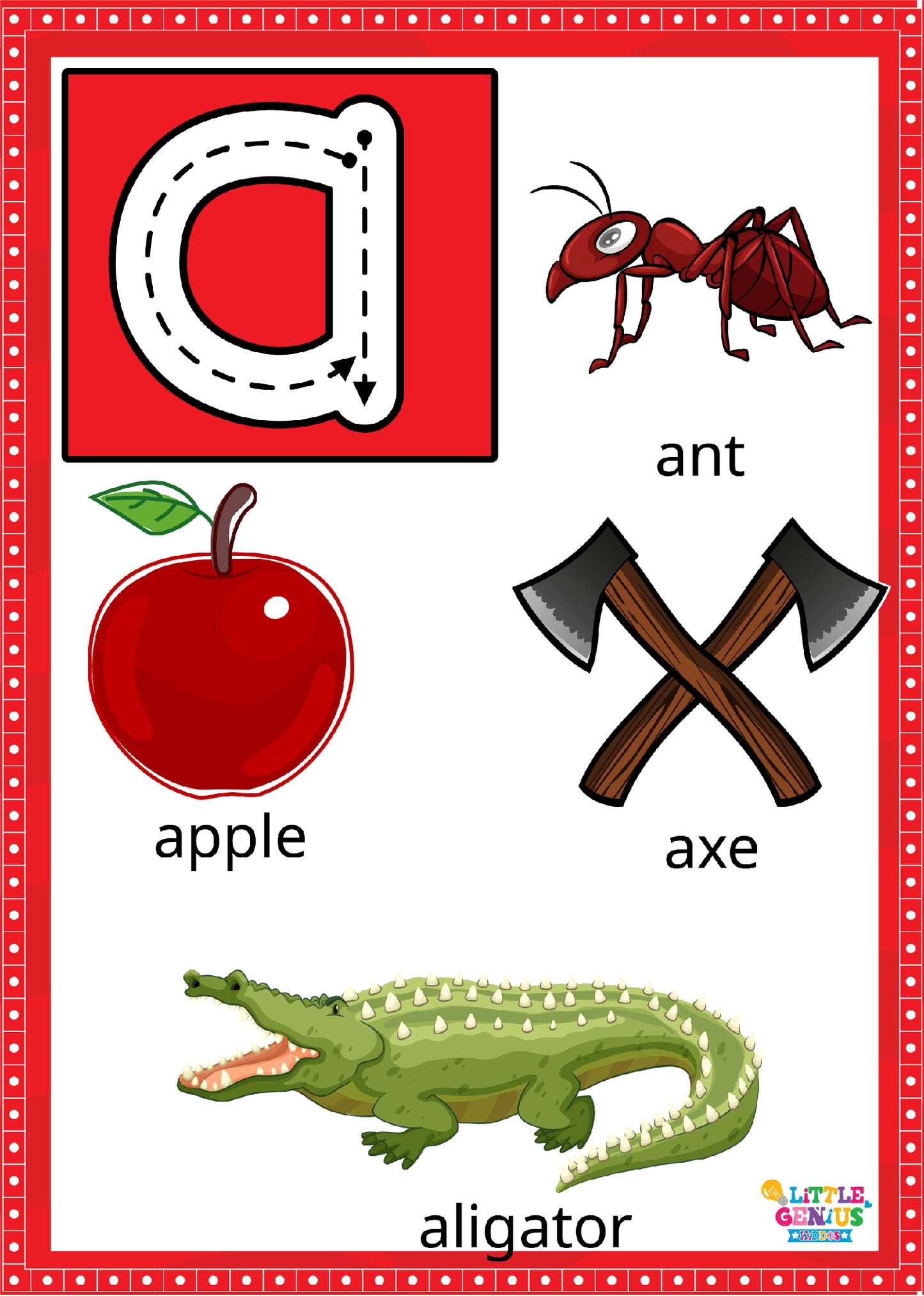 Large Alphabet Flashcards β With 4 Vocabulary Words Per Card