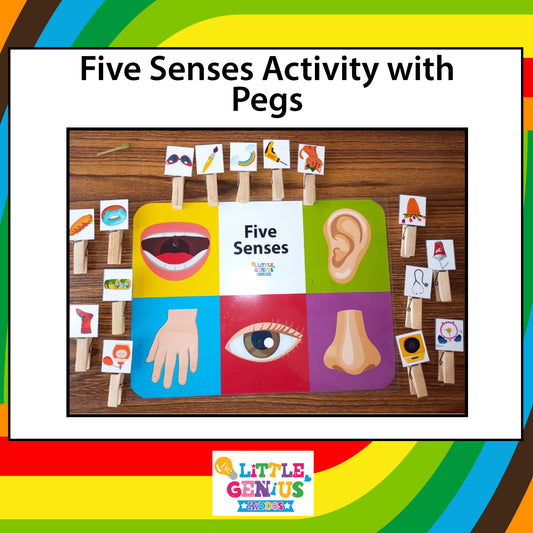 5 Senses Activity With Pegs