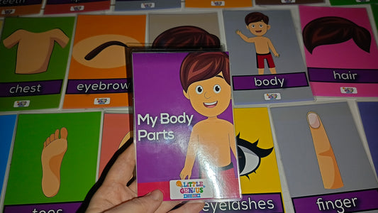 Parts Of The Body Flashcards