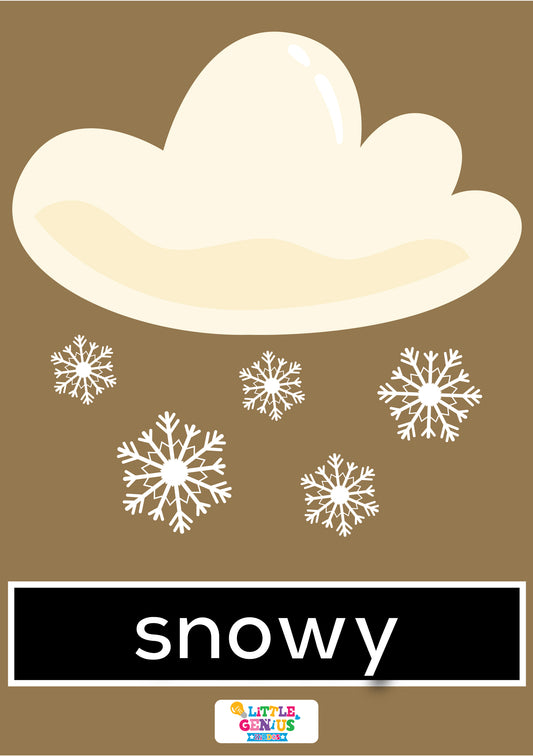 9 Kinds of Weather Flashcards – Early Learning Set