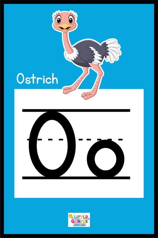 Alphabet Flashcards – Colorful with 1 Vocabulary Word