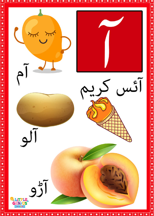 Large Hurf-e-Tehejji Flashcards with 4 Vocabularies