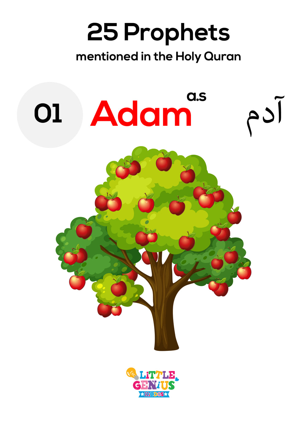 25 Prophets Mentioned in the Quran – Flashcards