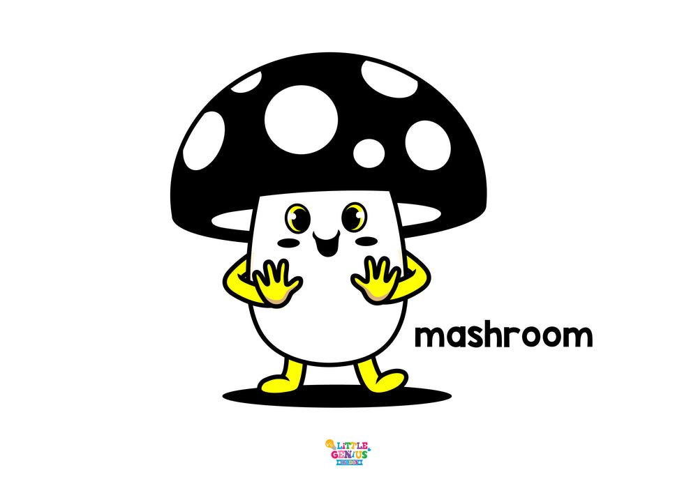 High Contrast Flashcards for Babies – 19 Visual Stimulation Cards