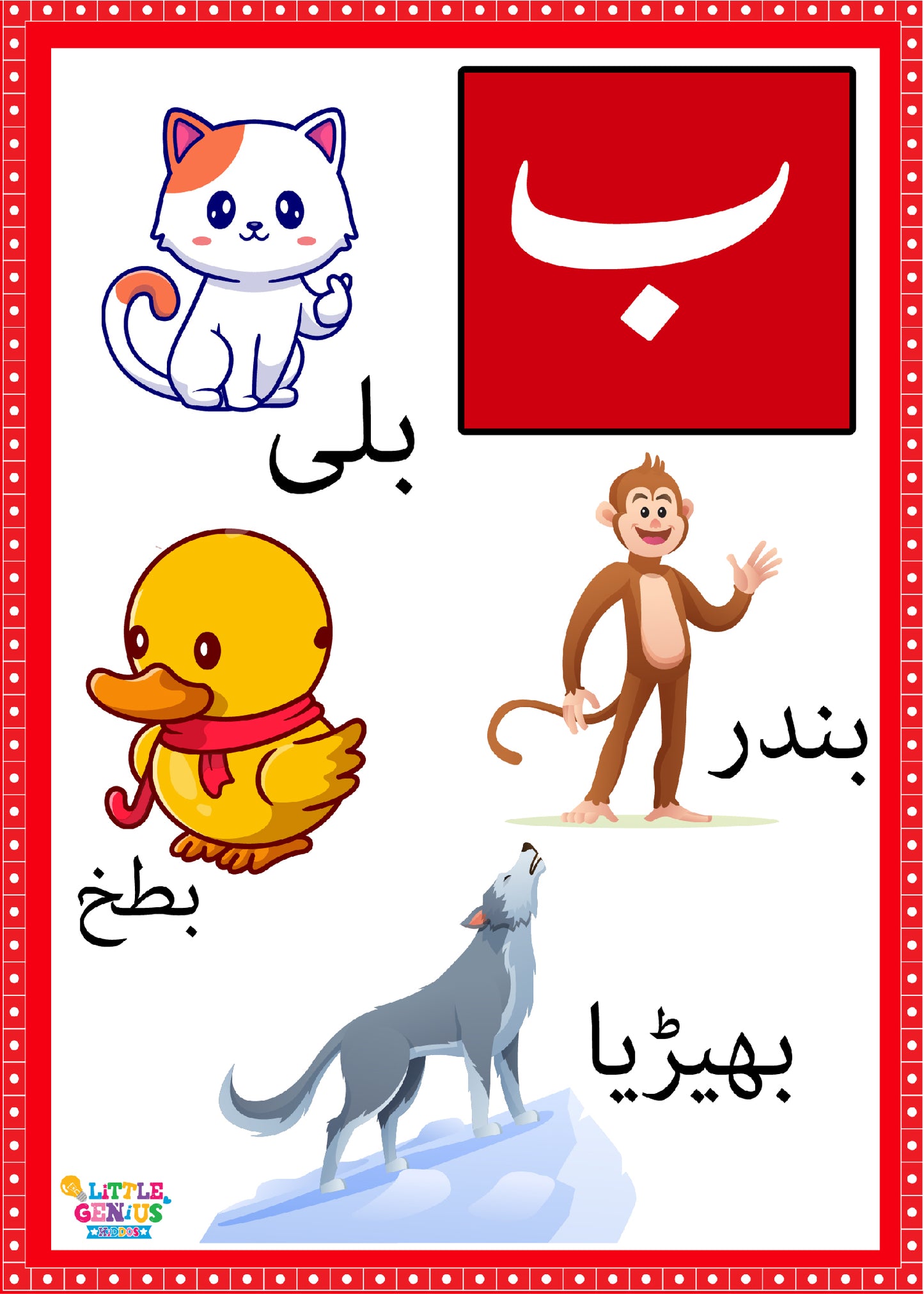 Large Hurf-e-Tehejji Flashcards with 4 Vocabularies