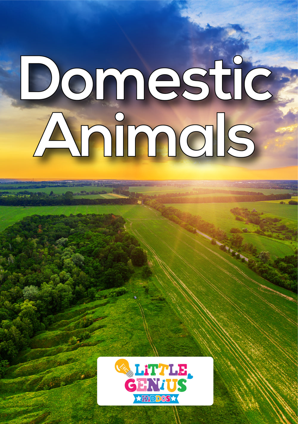 Domestic Animals Flashcards - Set of 13