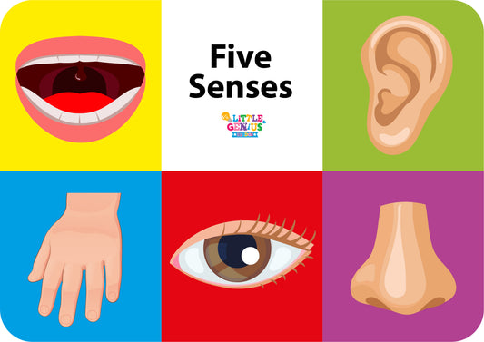 5 Senses Activity With Pegs
