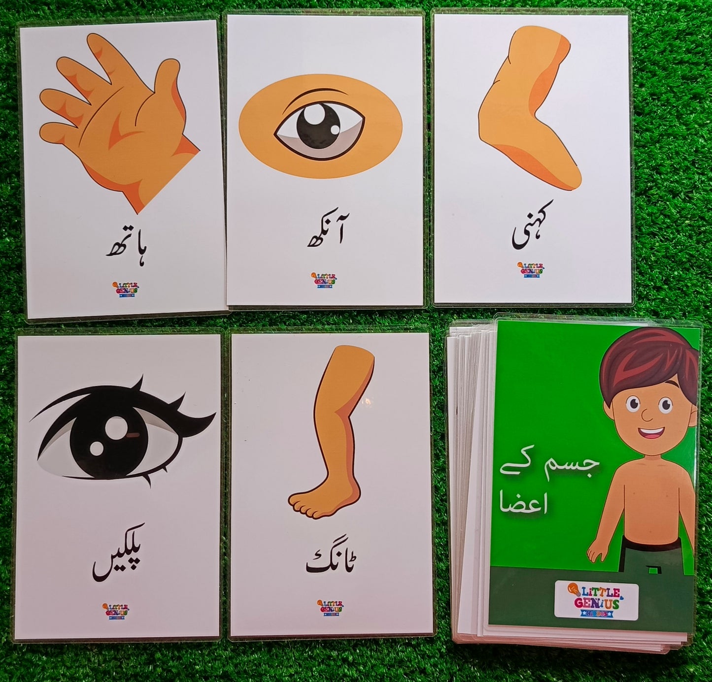 Body Parts Flashcards for Kids in Urdu | جسم کے اعضا فلیش کارڈز | 24 Cards