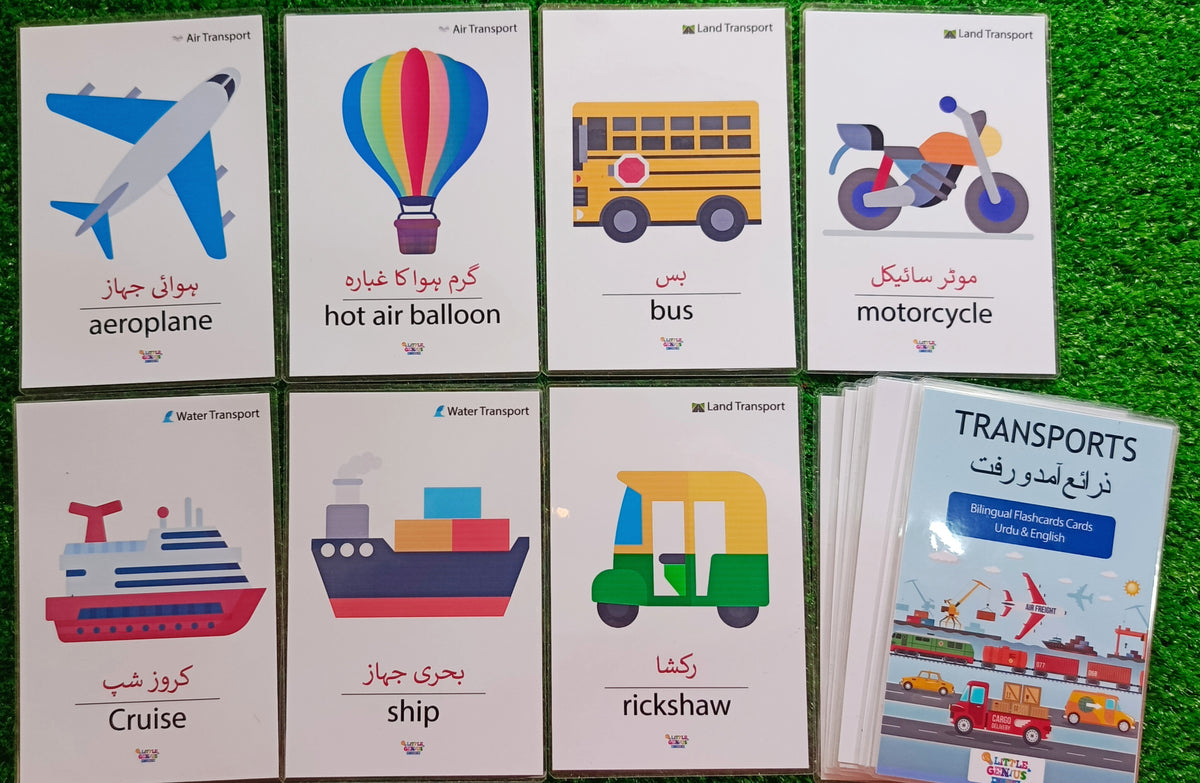Transport Flashcards for Kids | Urdu English Bilingual Vehicles Flashcards | 24 Cards