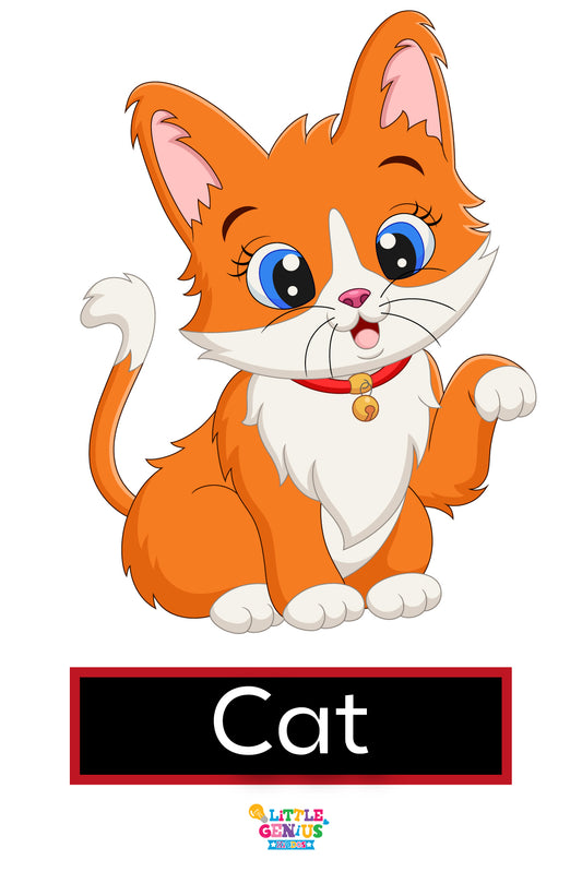 Singular and Plural Flashcards – Set of 24