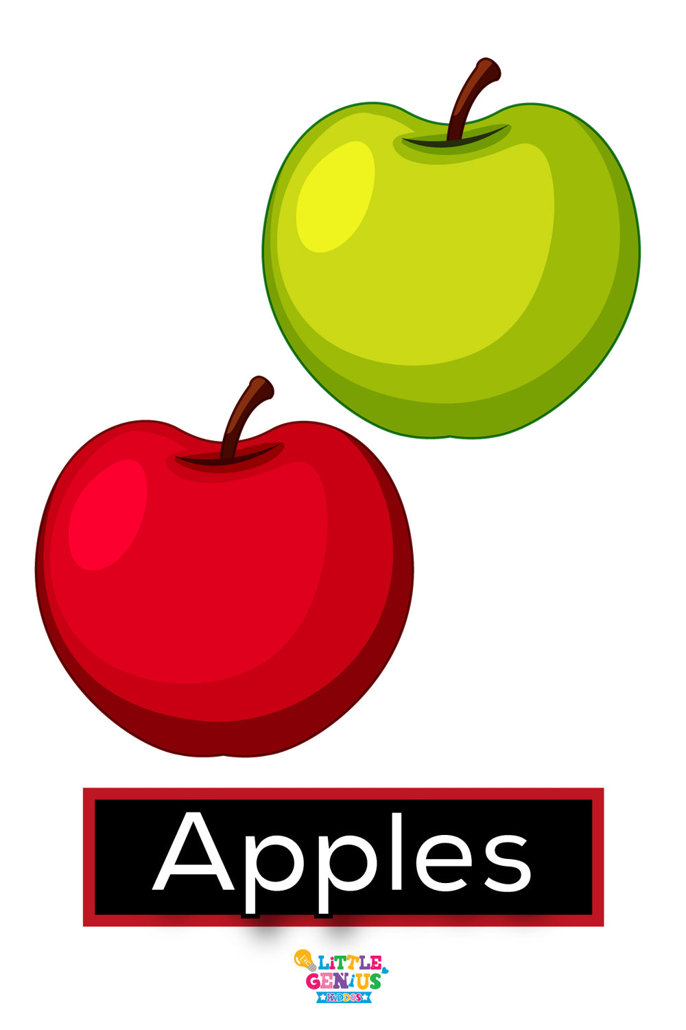 Singular and Plural Flashcards – Set of 24