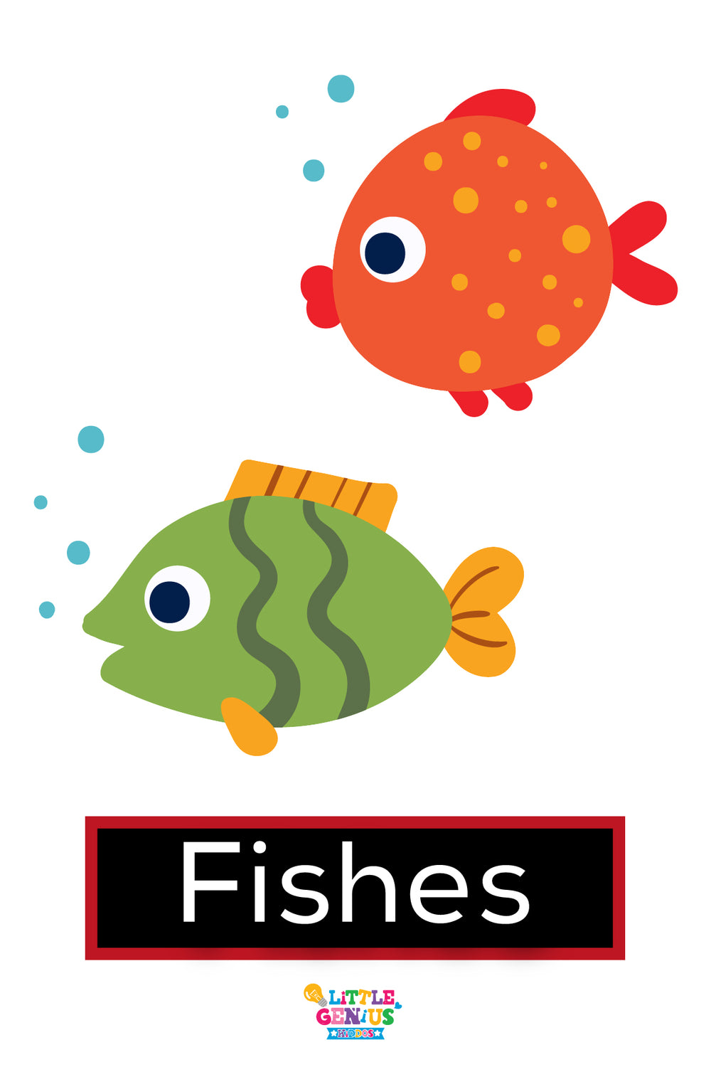 Singular and Plural Flashcards – Set of 24