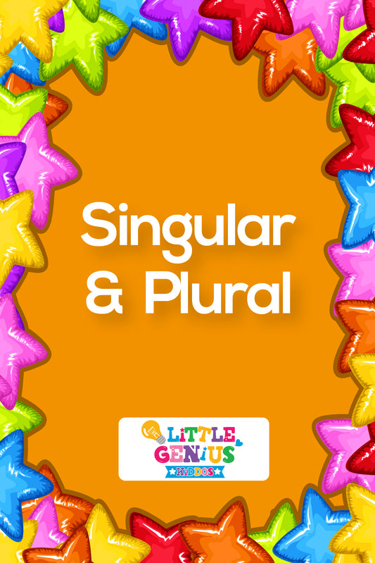 Singular and Plural Flashcards – Set of 24