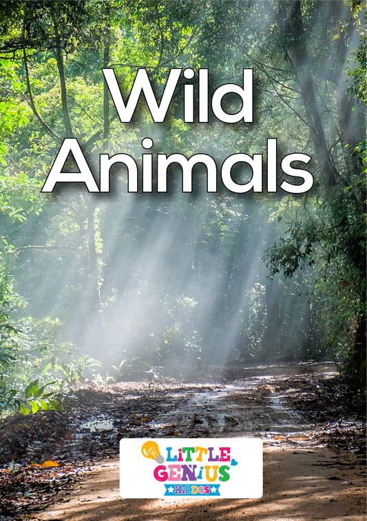 Wild Animals Flashcards - Set of 14