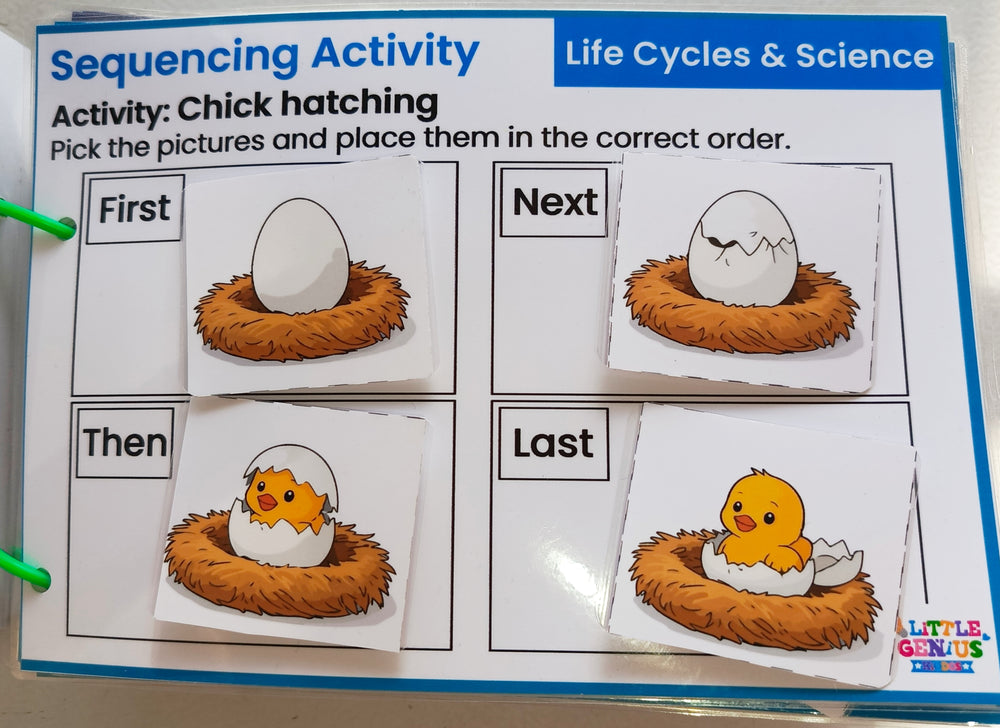 Visual Sequencing Life Skills Kit | Velcro-Based Activities for Autism & Special Education| ABLLS-R supported