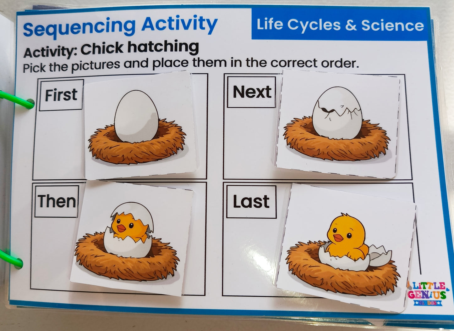 Visual Sequencing Life Skills Kit | Velcro-Based Activities for Autism & Special Education| ABLLS-R supported