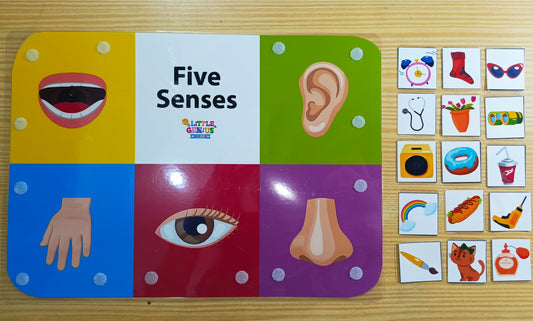 5 Senses Activity – Velcro-Based Matching Game