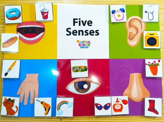 5 Senses Activity – Velcro-Based Matching Game