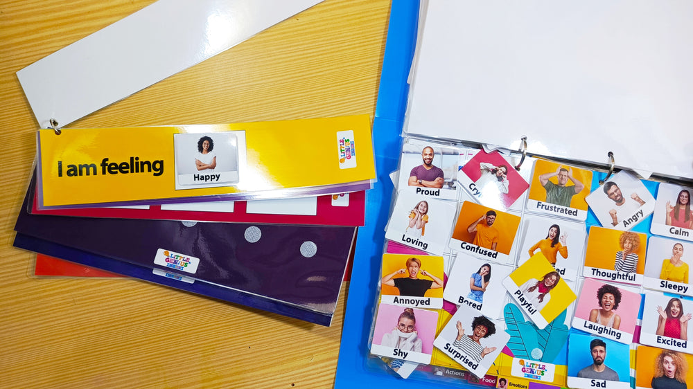 Picture Communication Kit – PECS-Style Communication System (ABLLS-R F, G, L)