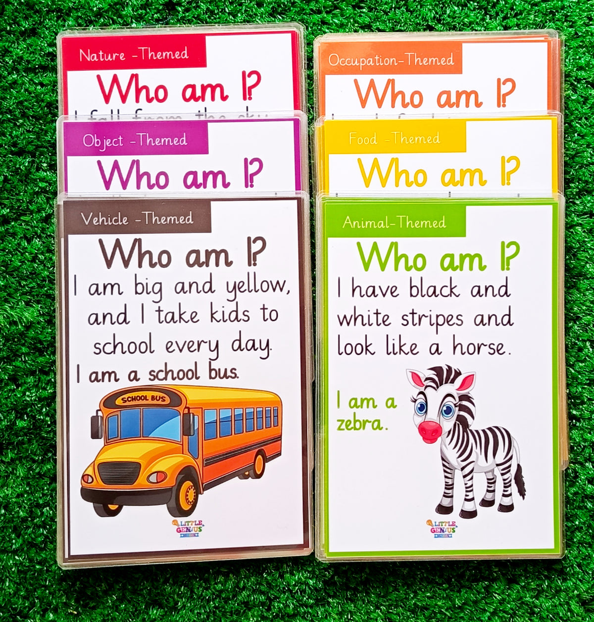 30 Who Am I? Flashcards Game – Guess, Learn &amp; Explore