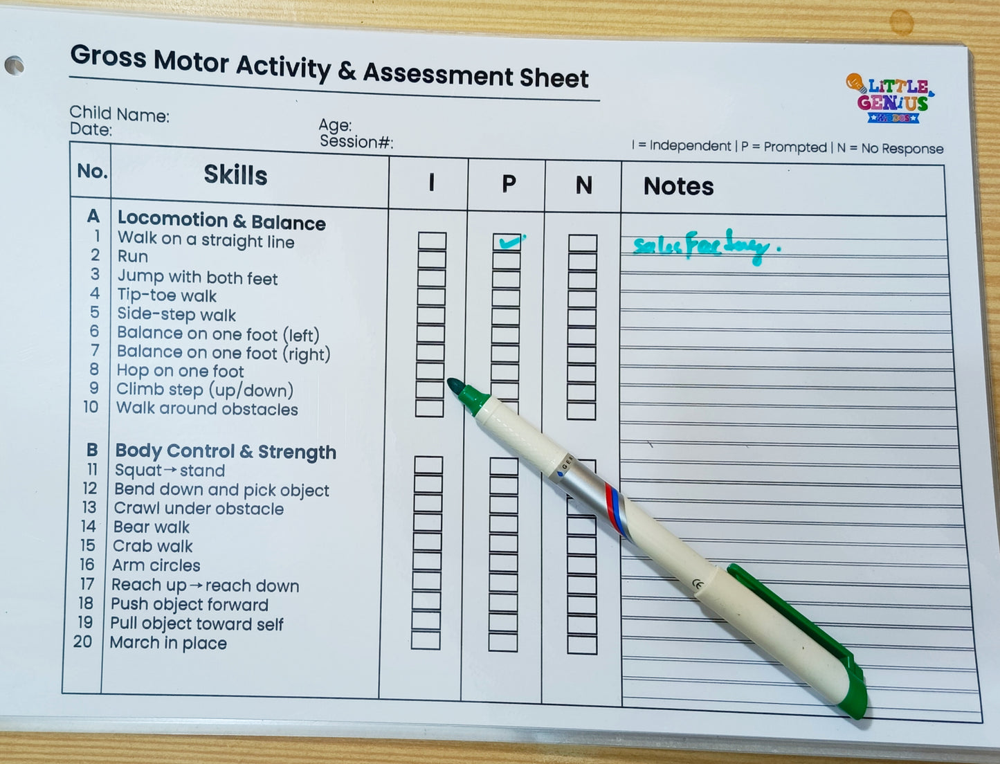 Motor Skills Assessment Pack (ABLLS-R Inspired) – Laminated Therapy Sheets for SEN & ABA Use