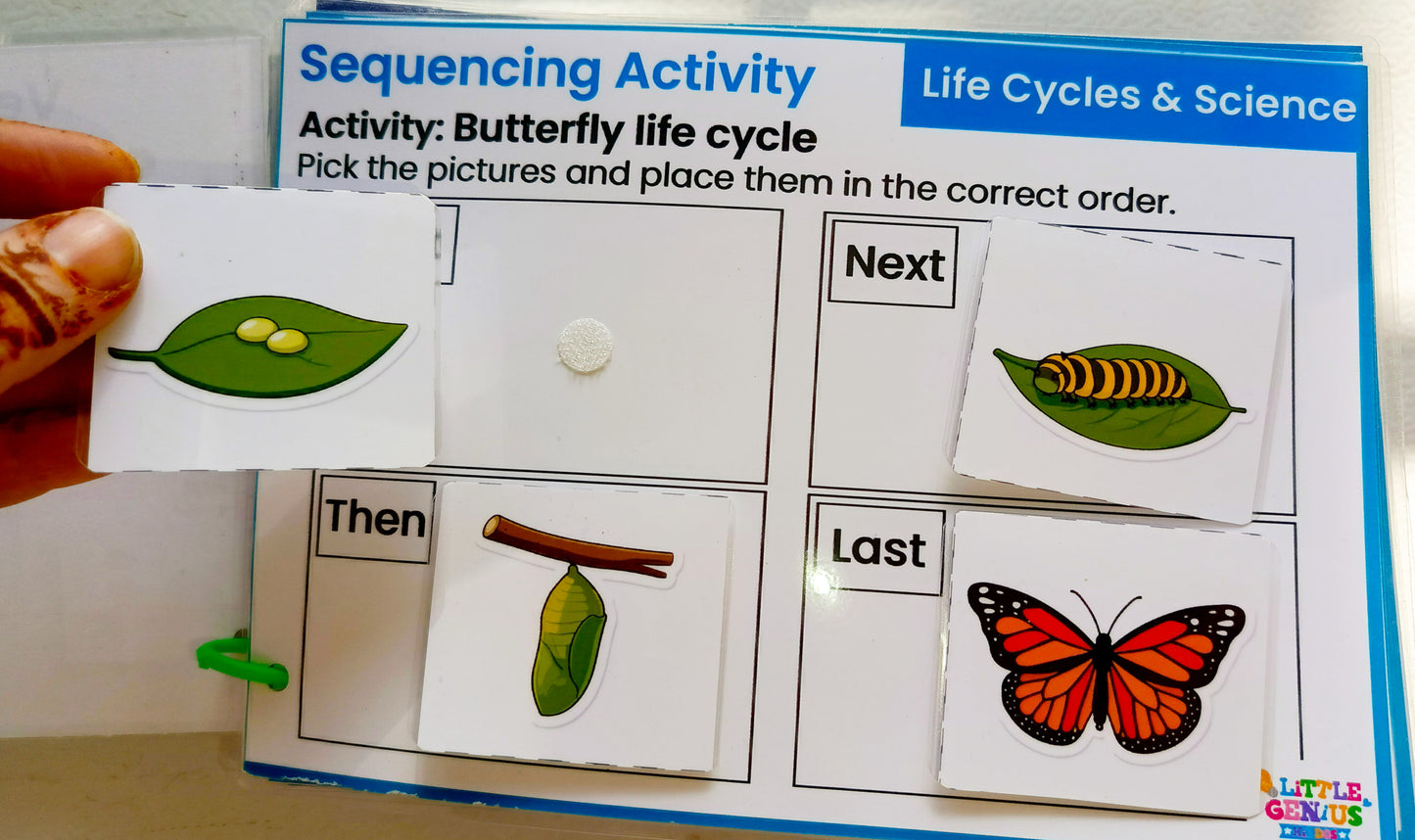 Visual Sequencing Life Skills Kit | Velcro-Based Activities for Autism & Special Education| ABLLS-R supported