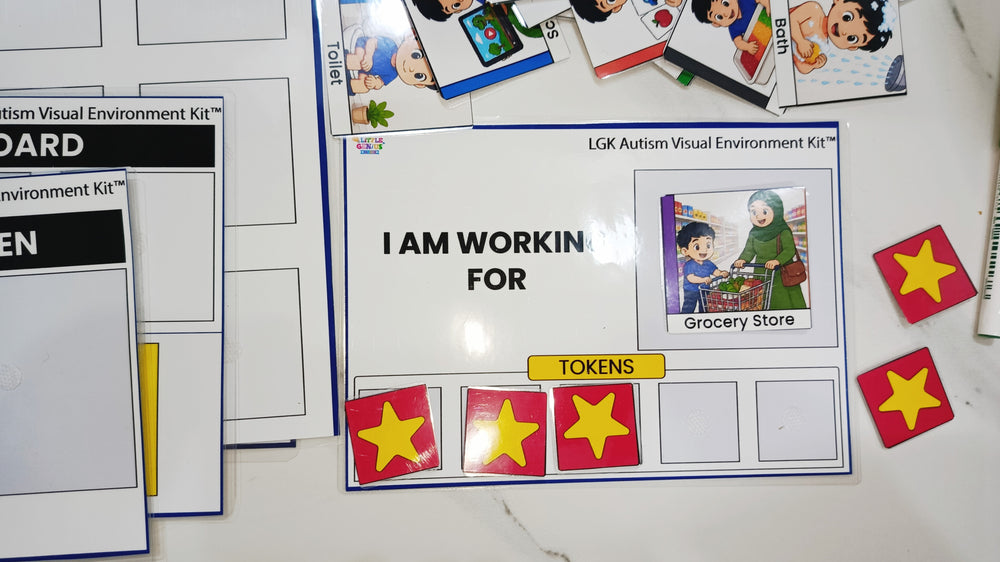 LGK Autism Visual Environment Kit™