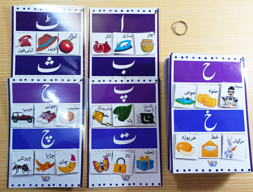 Urdu Sticking Vocabularies Activity