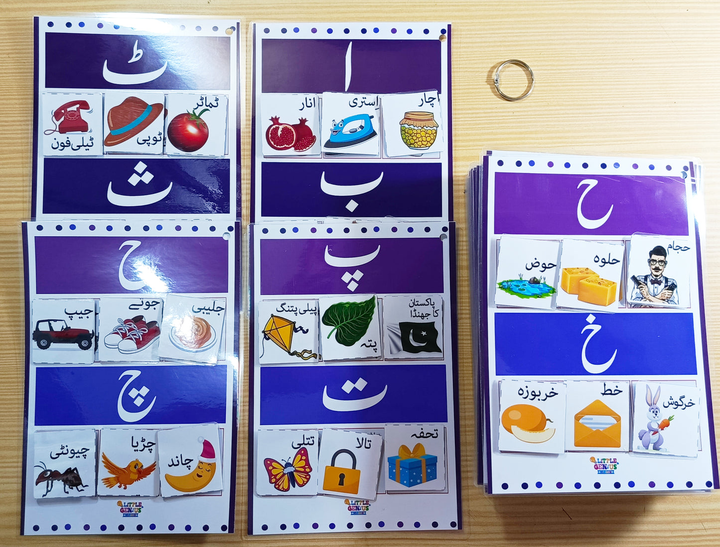 Urdu Sticking Vocabularies Activity